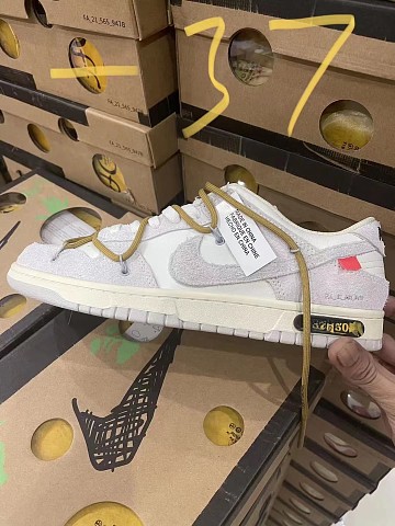 Women Dunk SB-176